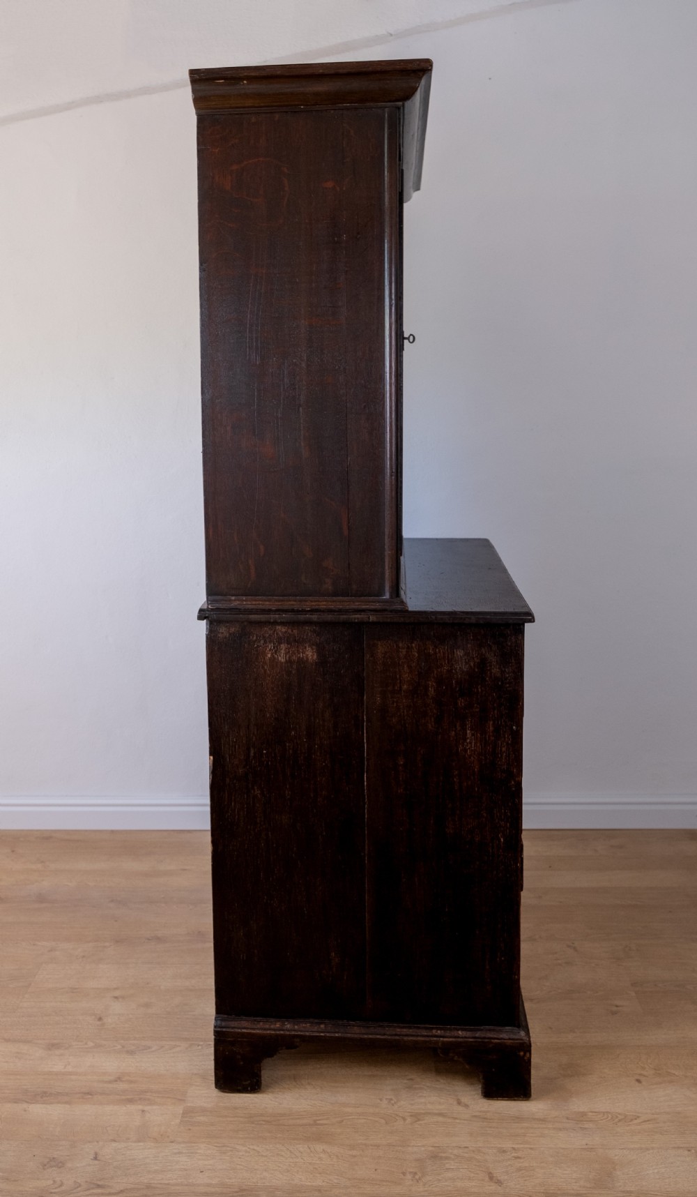 Georgian Oak Bookcase Cupboard, c.1800 View XII