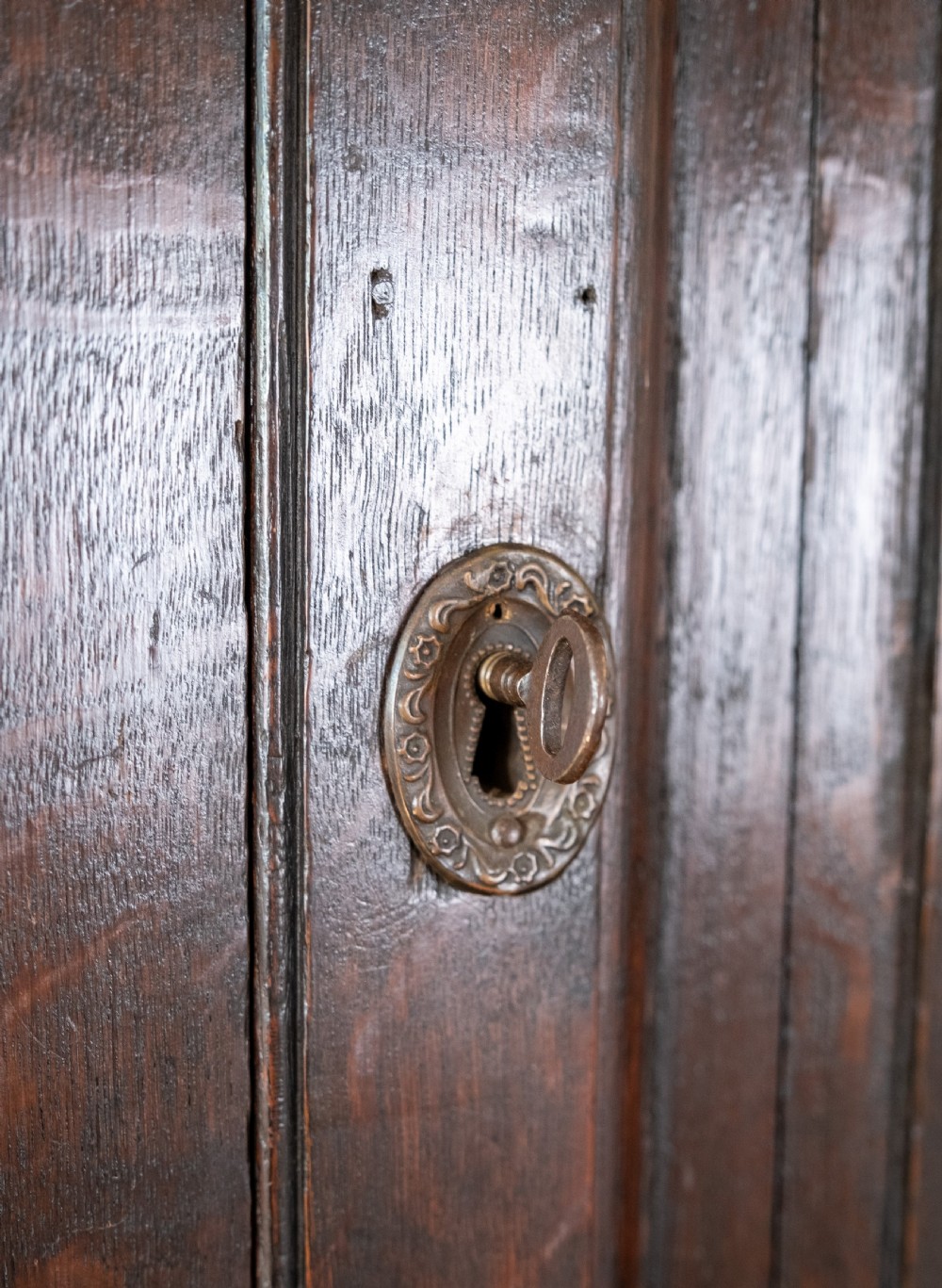 Georgian Oak Bookcase Cupboard, c.1800 View XIII