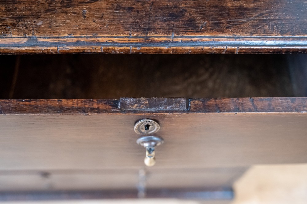Georgian Oak Bookcase Cupboard, c.1800 View XV