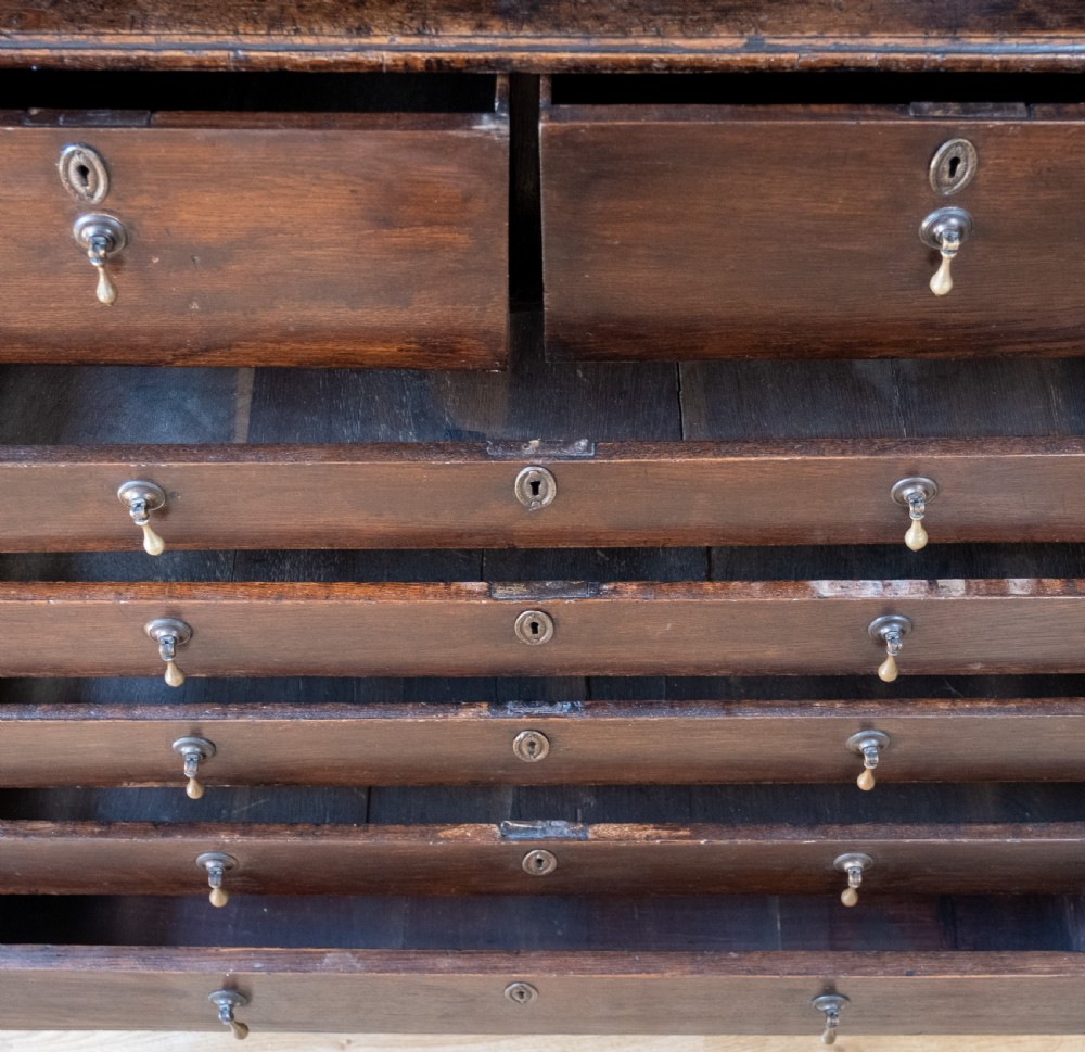 Georgian Oak Bookcase Cupboard, c.1800 View XVI