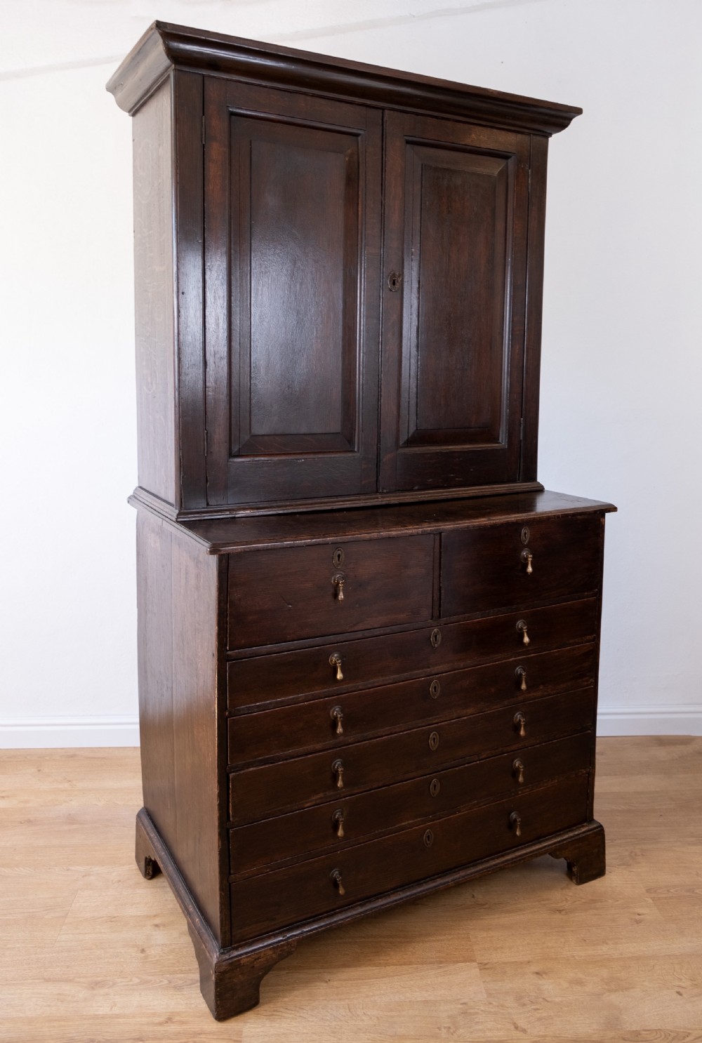 Georgian Oak Bookcase Cupboard, c.1800 View XVII