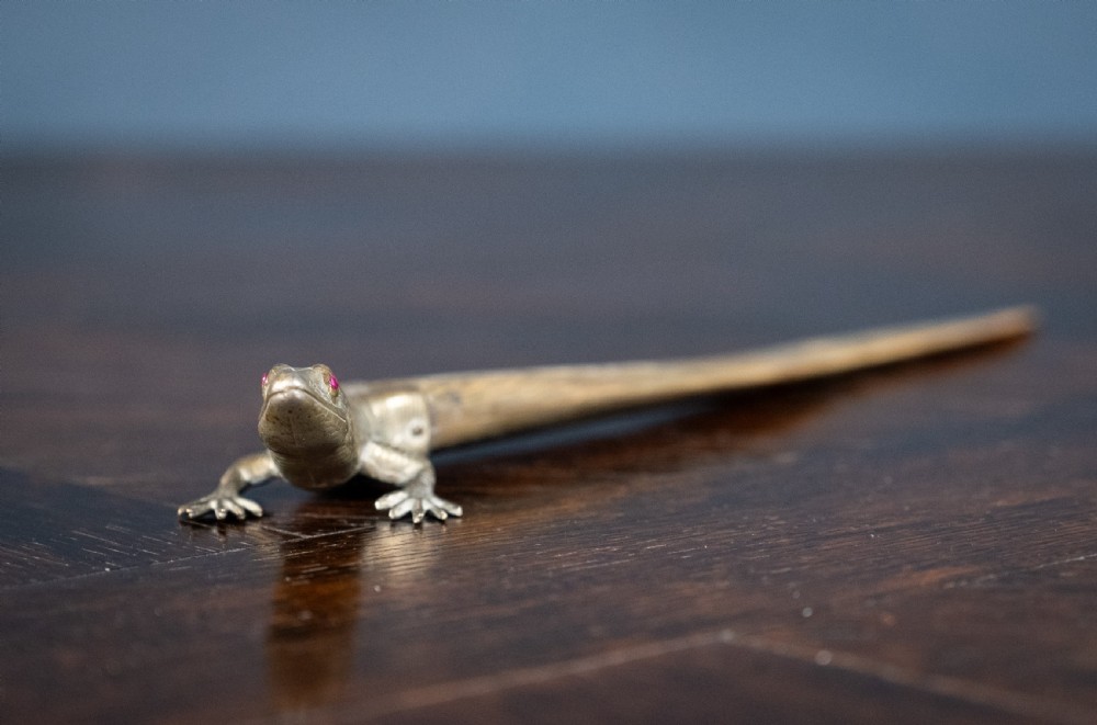 Novelty Brass & Horn Lizard Letter Opener, c.1900 View IV