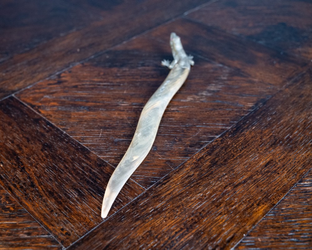 Novelty Brass & Horn Lizard Letter Opener, c.1900 View VII