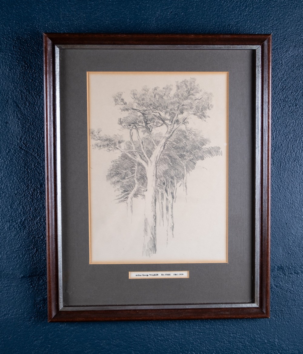Arthur George Walker RA (1861-1939) - Tree Sketch. Pencil on Paper.