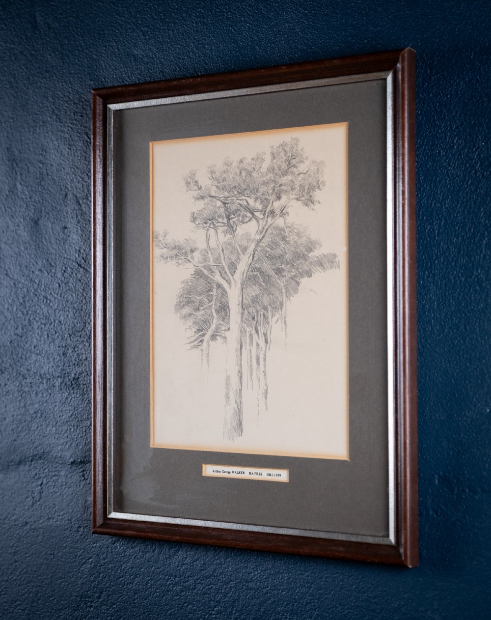 Arthur George Walker RA (1861-1939) - Tree Sketch. Pencil on Paper. View VII