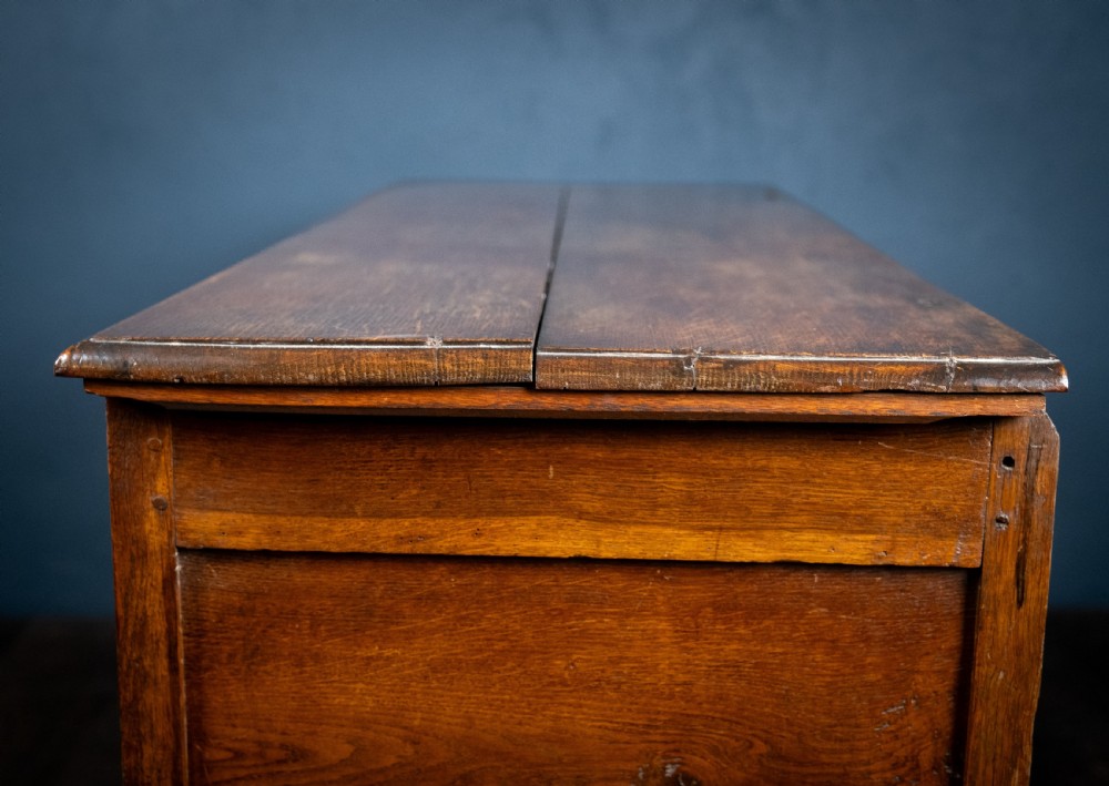 18th Century Oak Coffer With Carved Rosettes View XIV
