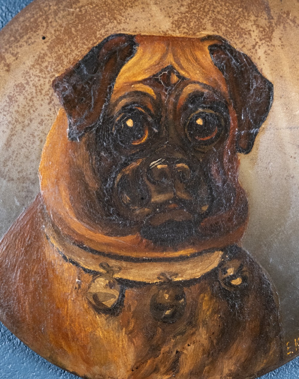 Pug With Bell Collar - Oil on Tin. Naive School. C.1900. View IV