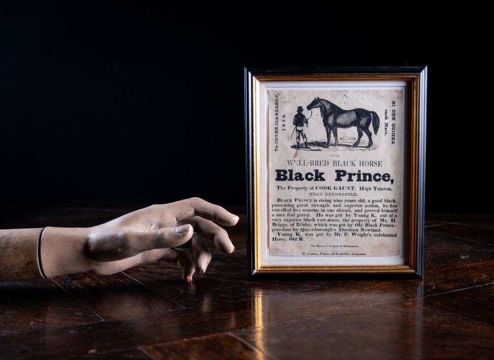 'Black Prince' Horse Advertisement, dated 1839 (Lincolnshire) View V