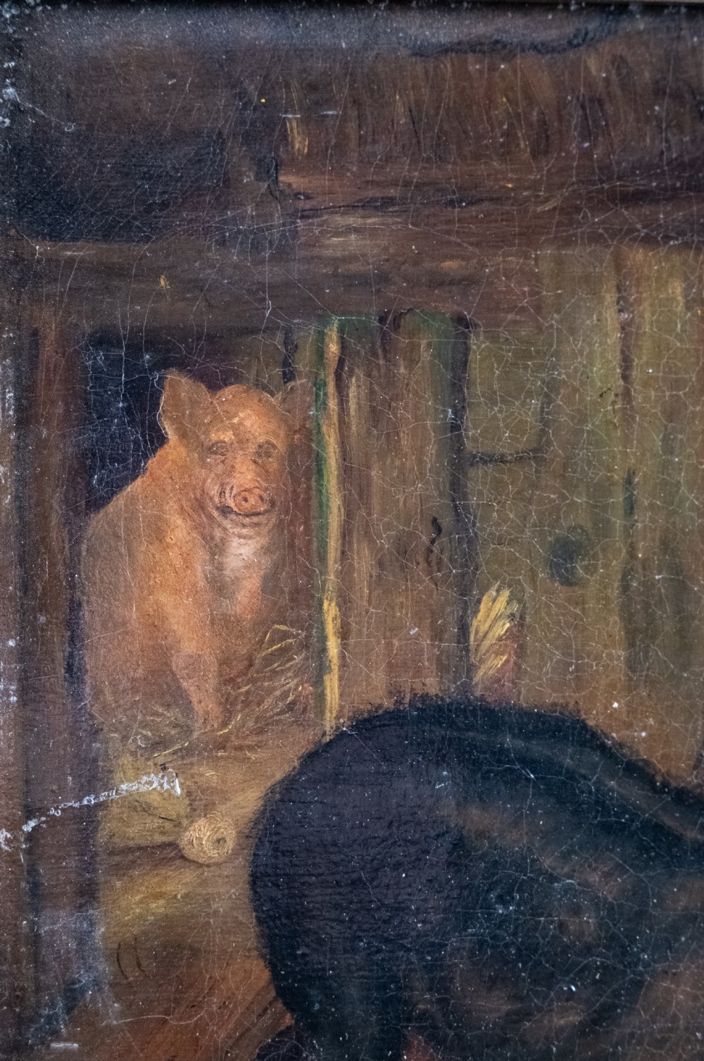 'The Dog & Hog' 19th Century Oil On Canvas. Naive School. View V