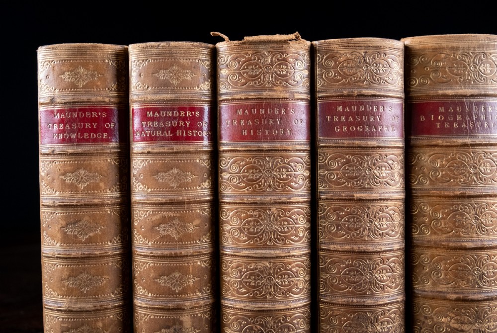A set of six Victorian calf leather bound books standing vertically with gilt-tooled spines and crimson title labels. View III