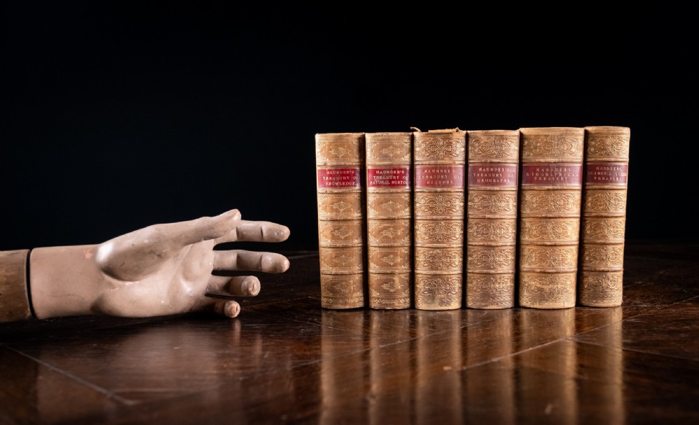 A set of six Victorian calf leather bound books standing vertically with gilt-tooled spines and crimson title labels. View IV