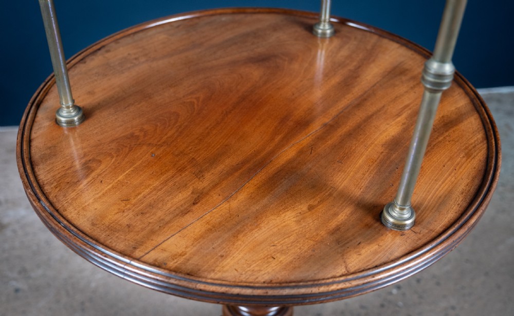 A two-tier Regency mahogany dumb waiter featuring a turned central column, brass uprights, and a tripartite base with castors. View XV