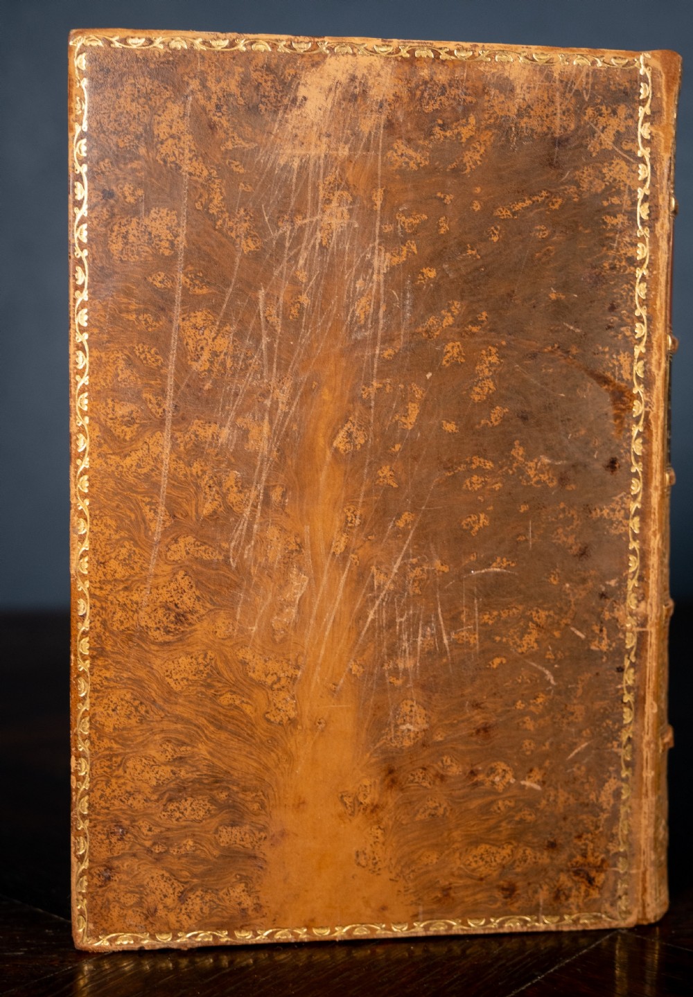 A four-volume set of 1881 Shakespeare leather-bound books standing upright, featuring heavily gilt-tooled spines with red and black title labels. View XI
