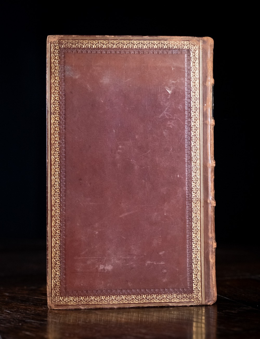 A 1850 Victorian leather-bound book featuring gold gilt floral tooling on the spine and a black title label. View III