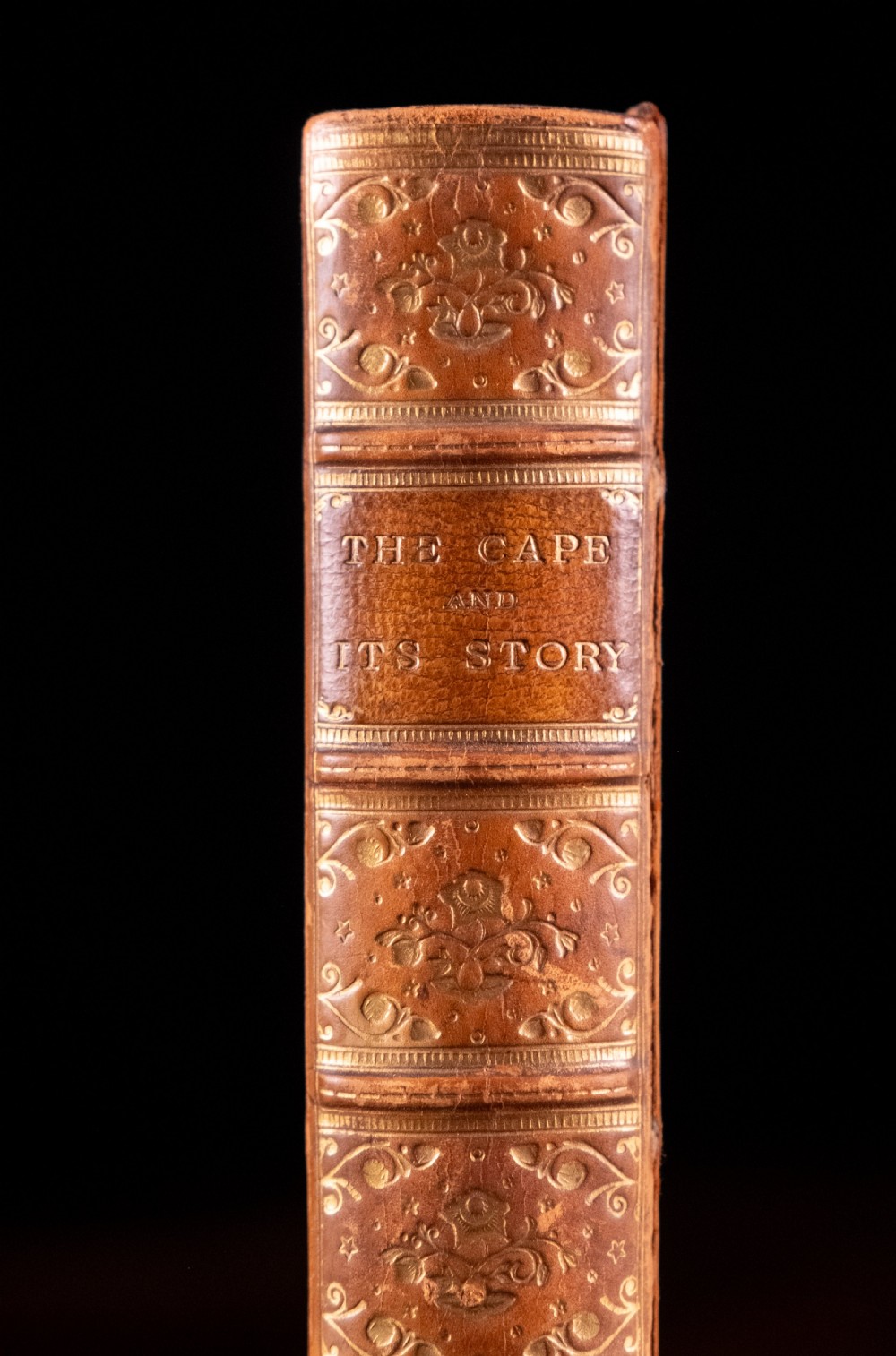 An Edwardian leather-bound book standing vertically, featuring a tan leather cover with detailed gold-tooled decorations and raised spine bands. View II