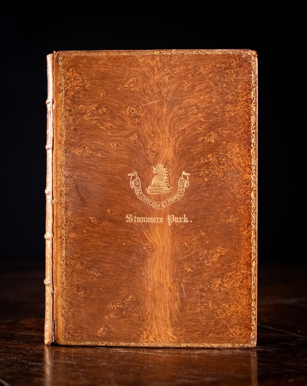 An Edwardian leather-bound book standing vertically, featuring a tan leather cover with detailed gold-tooled decorations and raised spine bands. View III