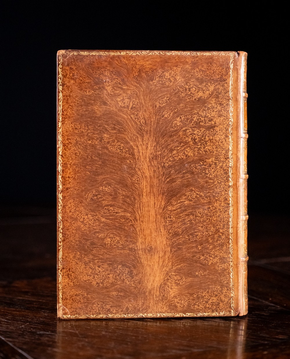An Edwardian leather-bound book standing vertically, featuring a tan leather cover with detailed gold-tooled decorations and raised spine bands. View VI