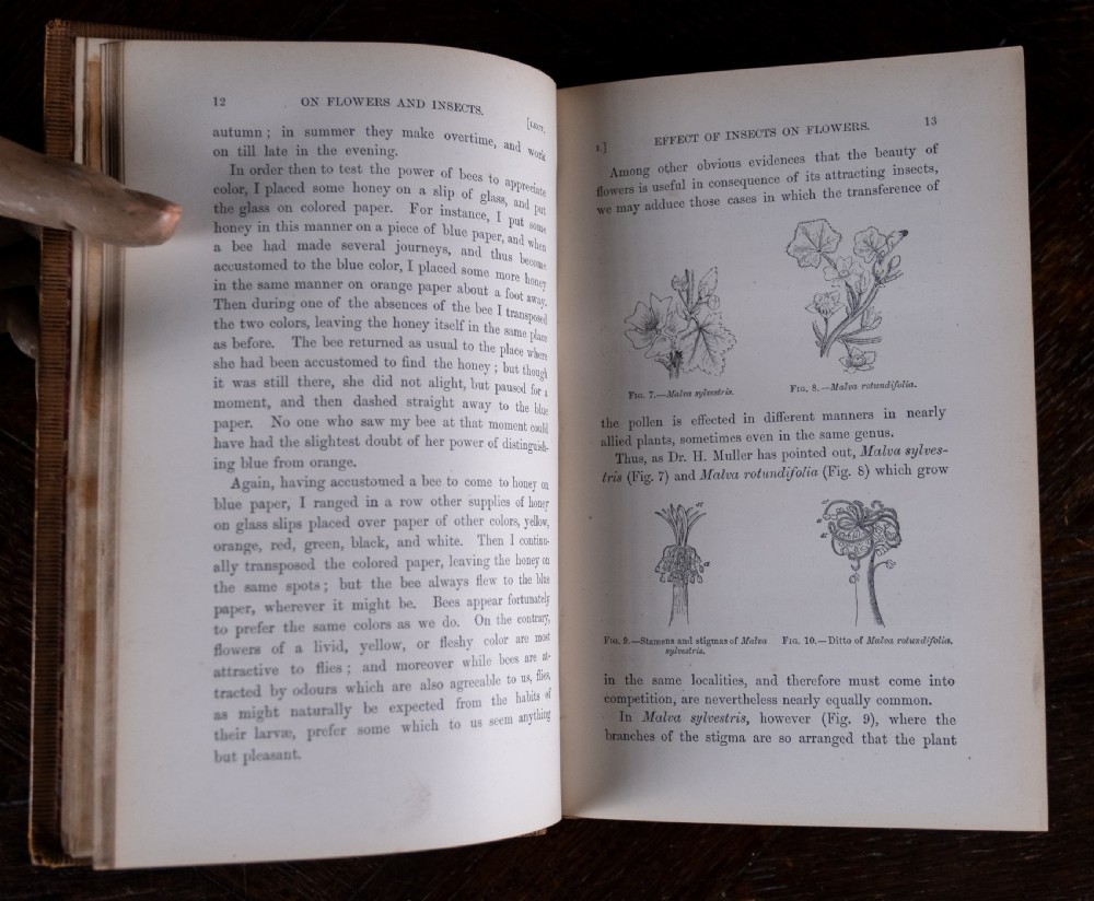 A nineteenth-century tan leather-bound book featuring ornate gilt tooling on the spine and an embossed coat of arms on the front cover. View IX