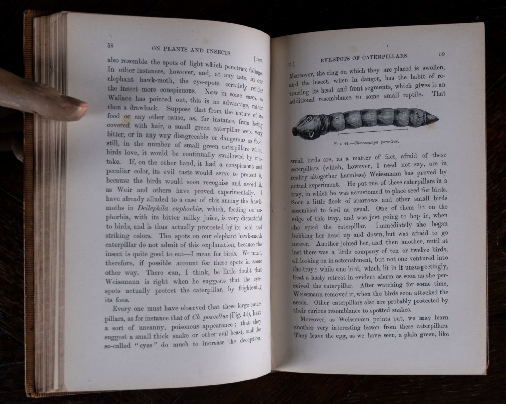 A nineteenth-century tan leather-bound book featuring ornate gilt tooling on the spine and an embossed coat of arms on the front cover. View XI