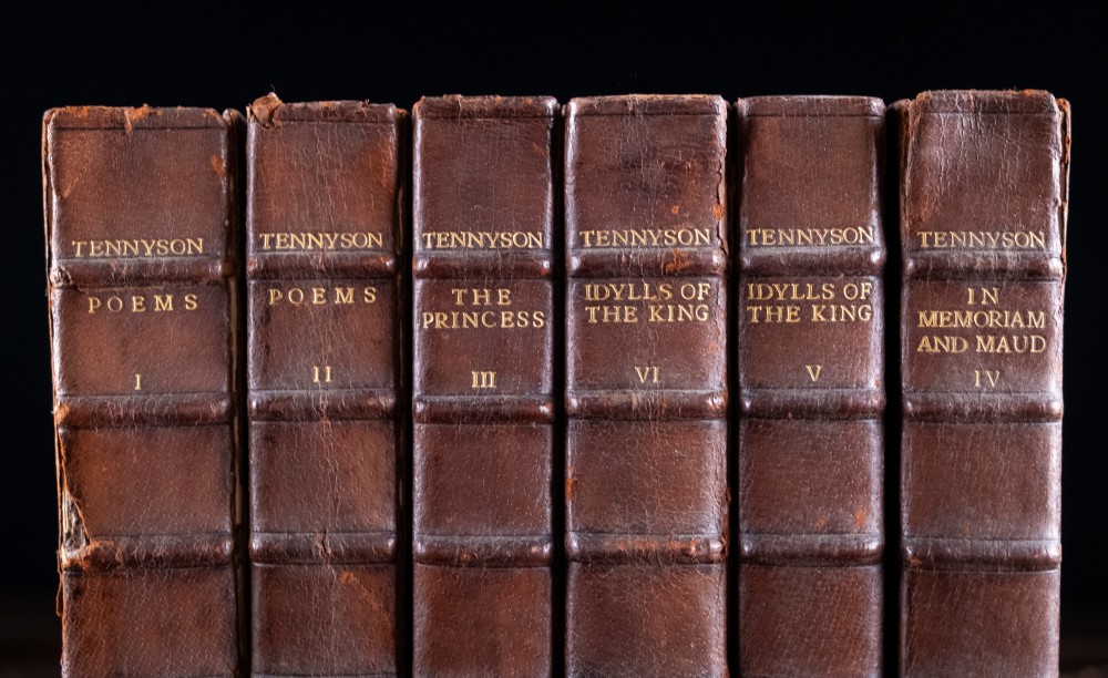 A six-volume set of Victorian brown leather-bound books featuring gilt spine lettering and raised bands. View II