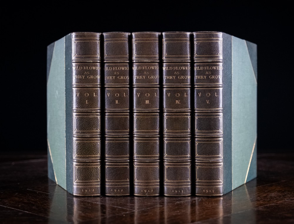 1912 Wild Flowers As They Grow by H. Essenhigh Corke. 5 Volume Book Set.