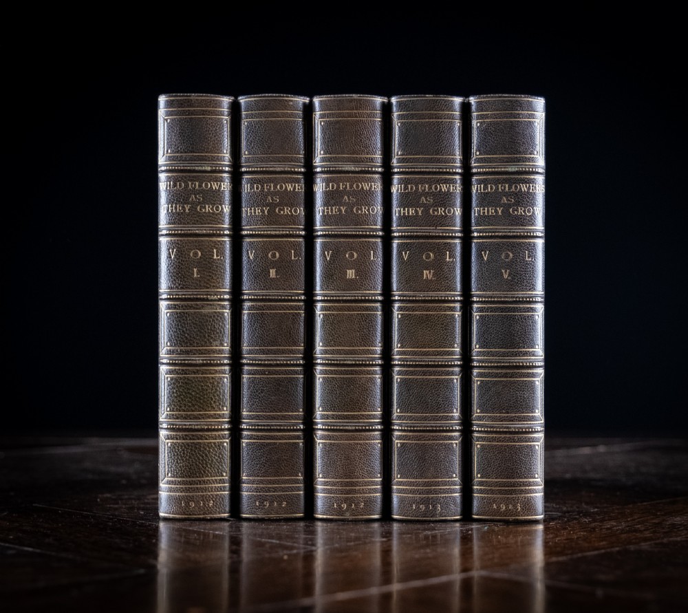 1912 Wild Flowers As They Grow by H. Essenhigh Corke. 5 Volume Book Set. View II