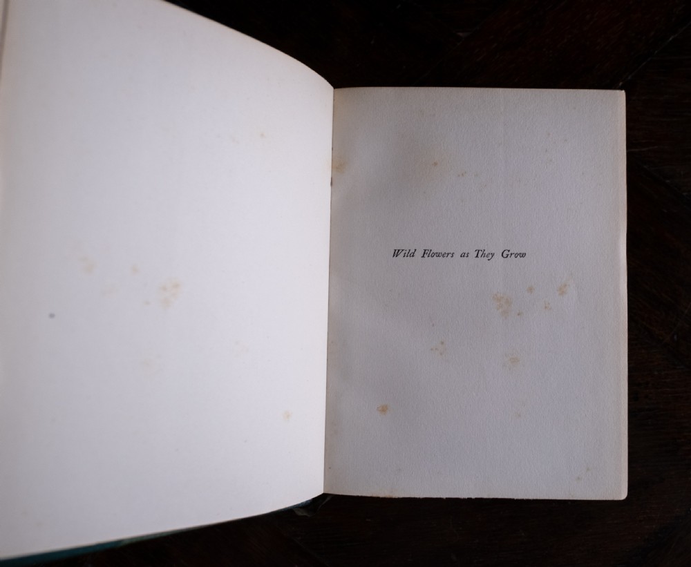 1912 Wild Flowers As They Grow by H. Essenhigh Corke. 5 Volume Book Set. View XI