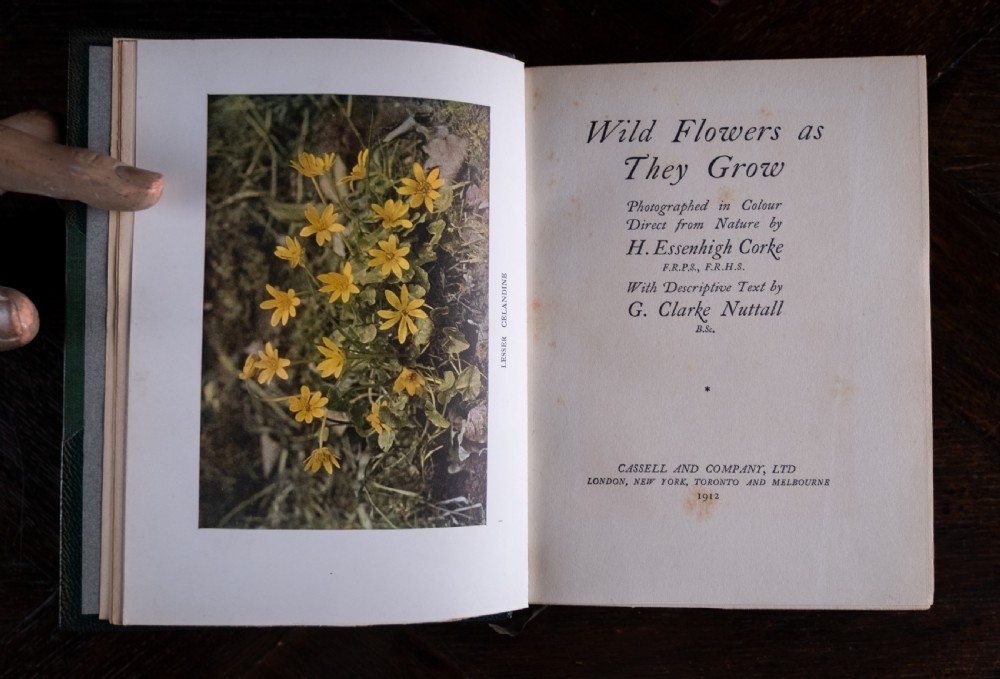 1912 Wild Flowers As They Grow by H. Essenhigh Corke. 5 Volume Book Set. View XII