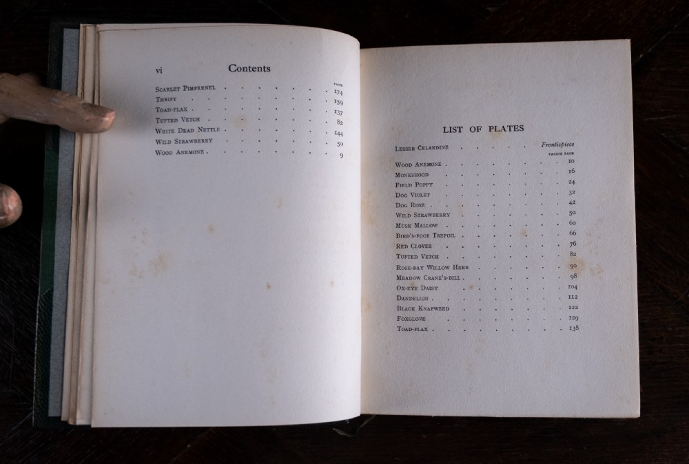 1912 Wild Flowers As They Grow by H. Essenhigh Corke. 5 Volume Book Set. View XIV