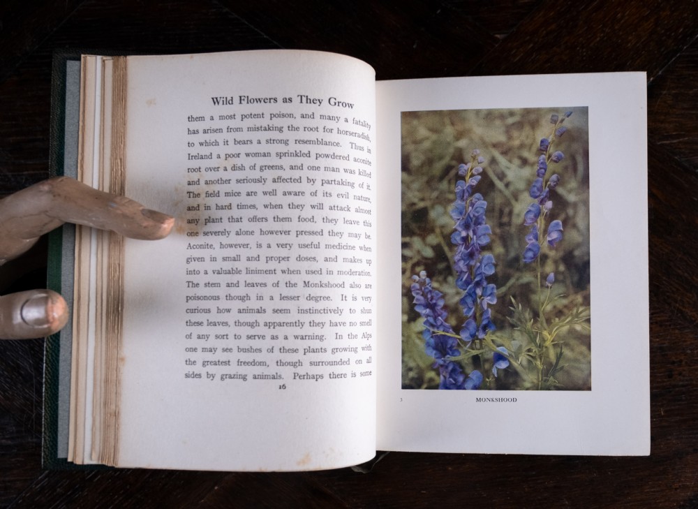 1912 Wild Flowers As They Grow by H. Essenhigh Corke. 5 Volume Book Set. View XVII