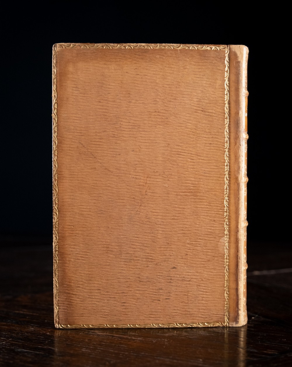 An upright 1898 tan leather-bound book featuring a gold-tooled decorative spine with floral motifs and raised bands. View III