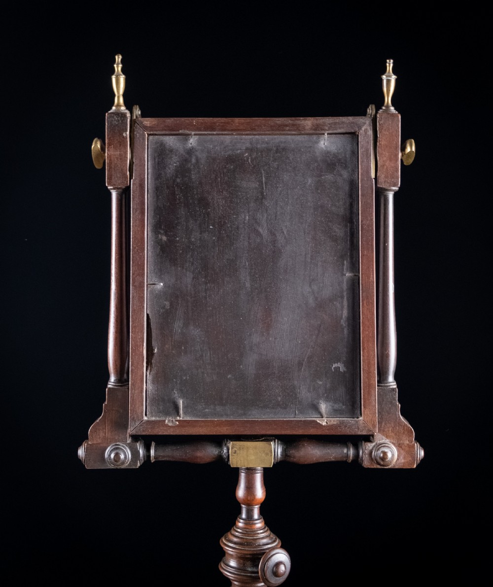 Large Georgian Mahogany Zograscope View IX