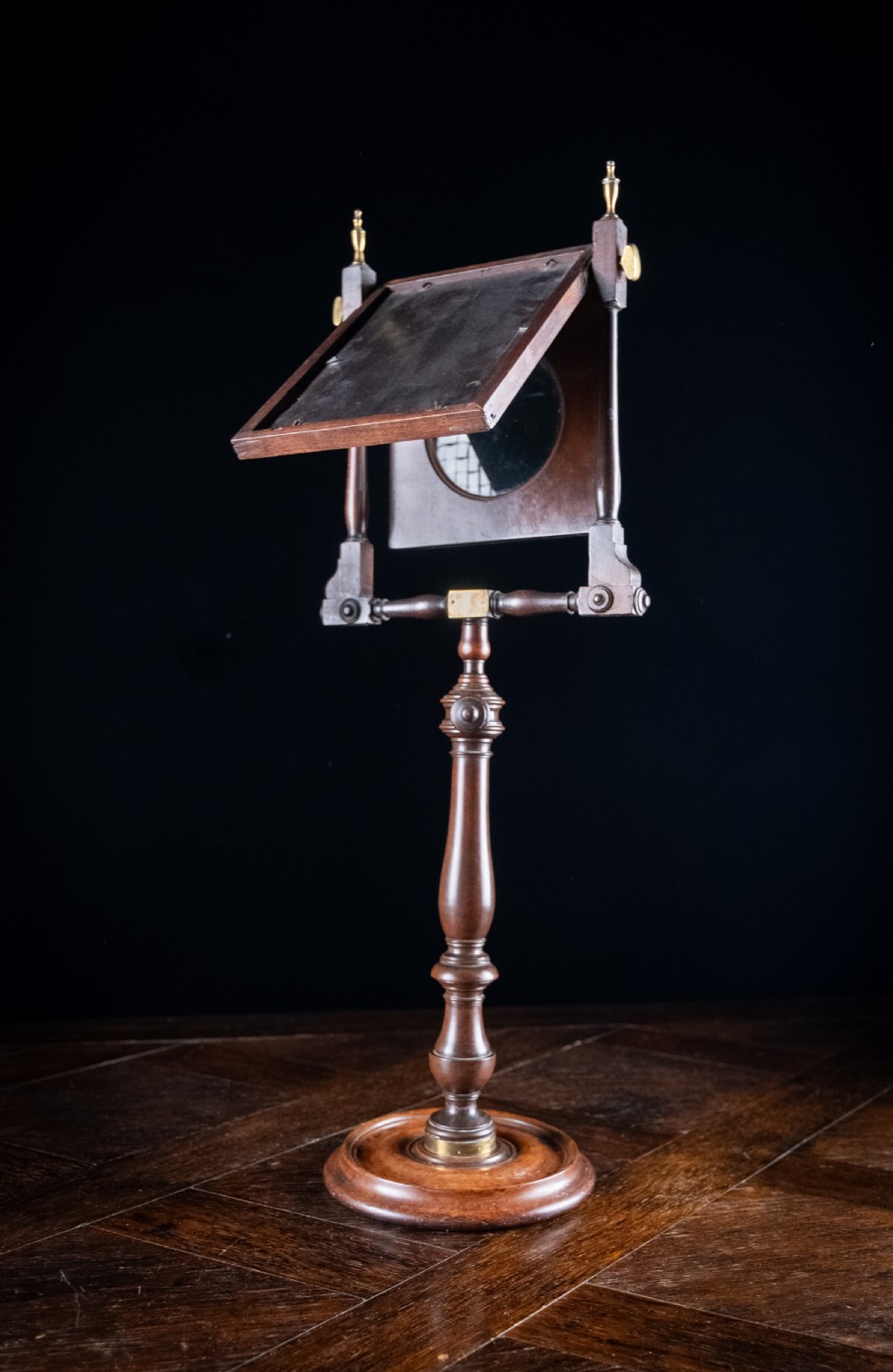 Large Georgian Mahogany Zograscope View XII