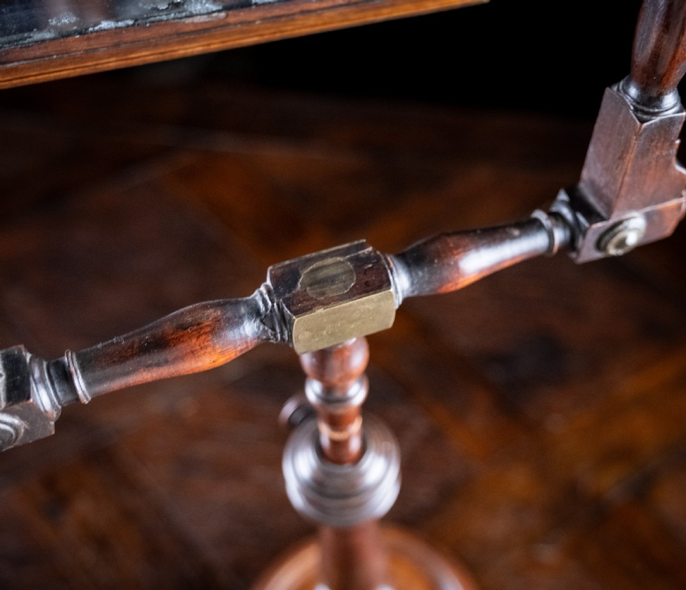 Large Georgian Mahogany Zograscope View XV