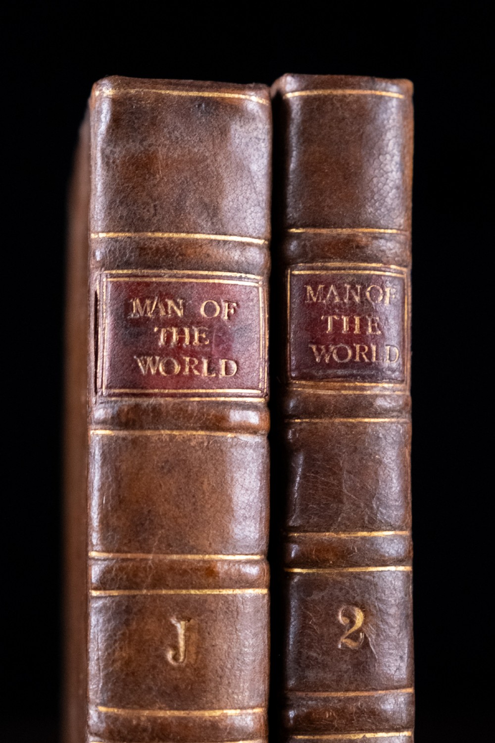 A two-volume set of eighteenth-century brown leather-bound books standing vertically with gold-tooled spine titles. View II