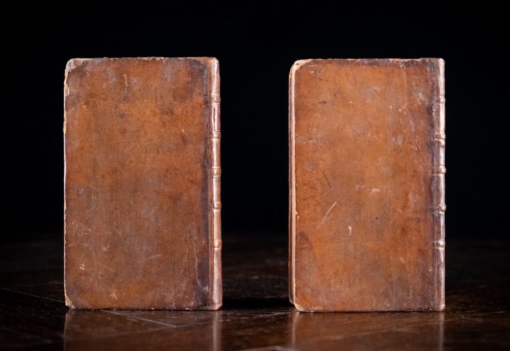 A two-volume set of eighteenth-century brown leather-bound books standing vertically with gold-tooled spine titles. View IV
