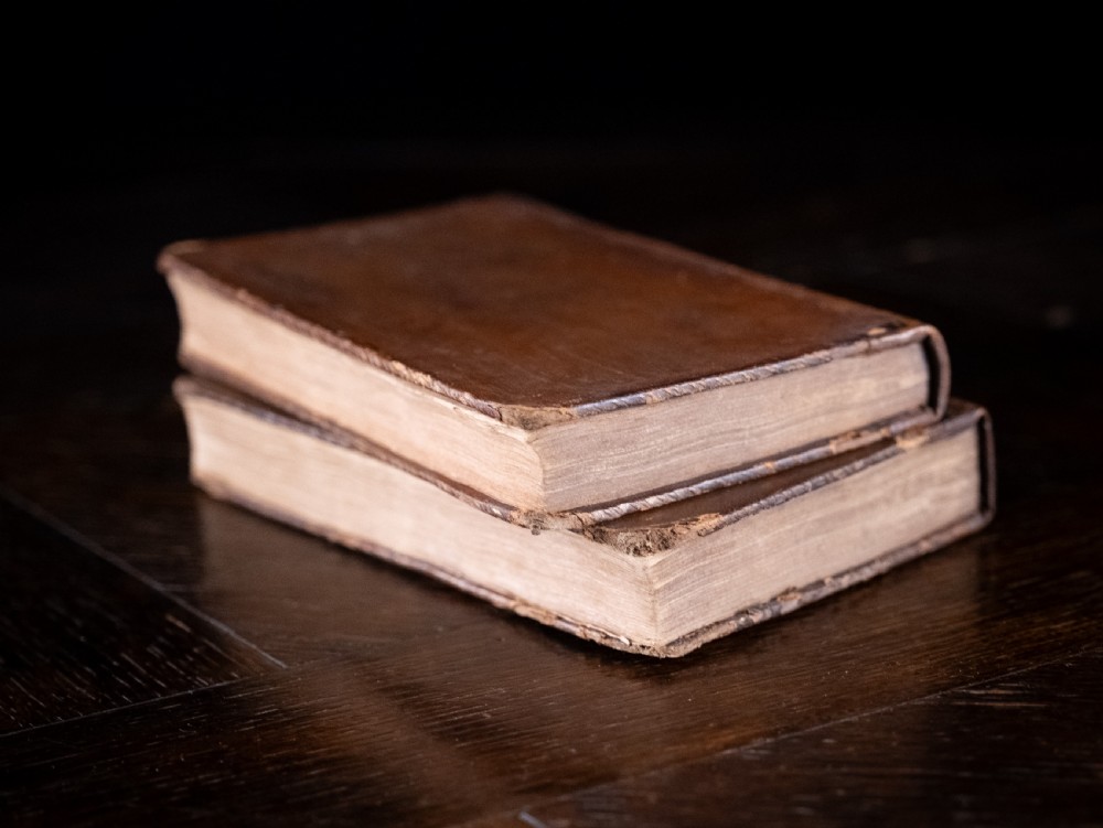 A two-volume set of eighteenth-century brown leather-bound books standing vertically with gold-tooled spine titles. View V