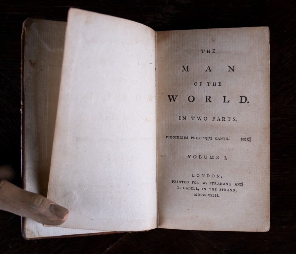 A two-volume set of eighteenth-century brown leather-bound books standing vertically with gold-tooled spine titles. View VIII