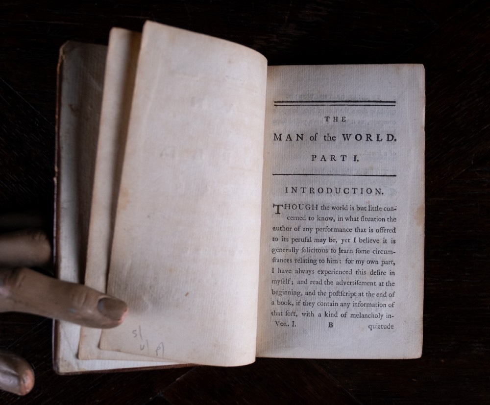 A two-volume set of eighteenth-century brown leather-bound books standing vertically with gold-tooled spine titles. View IX