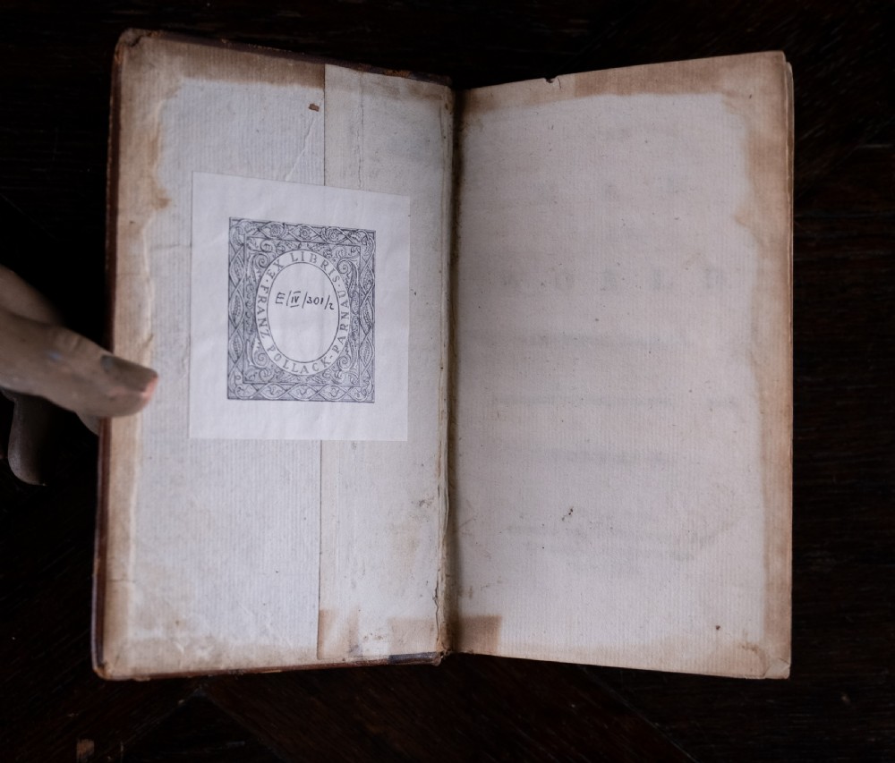 A two-volume set of eighteenth-century brown leather-bound books standing vertically with gold-tooled spine titles. View XI