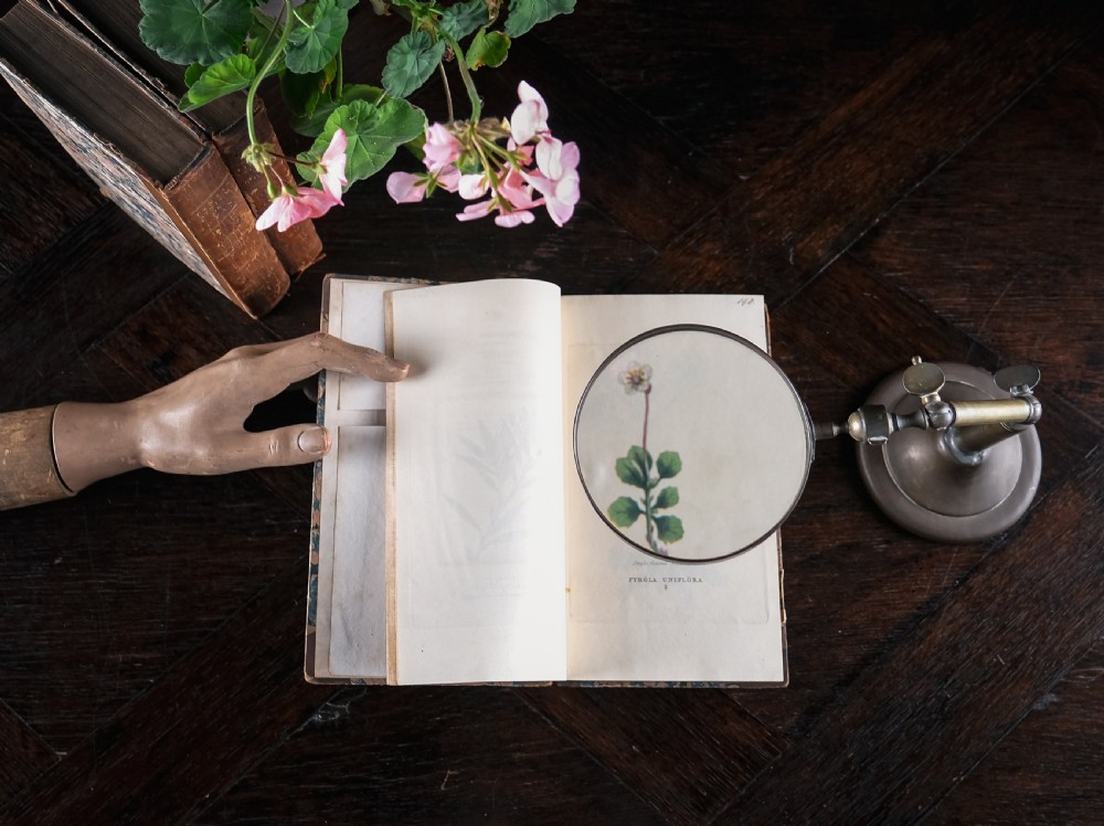 An antique Edwardian brass magnifying glass featuring an adjustable articulated arm and a circular weighted base. View III