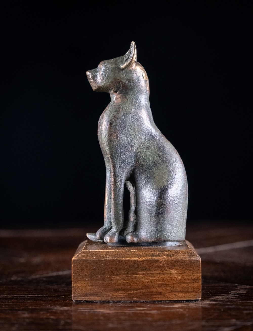 A dark patinated bronze figure of a seated Egyptian cat mounted on a wooden rectangular base. View VI