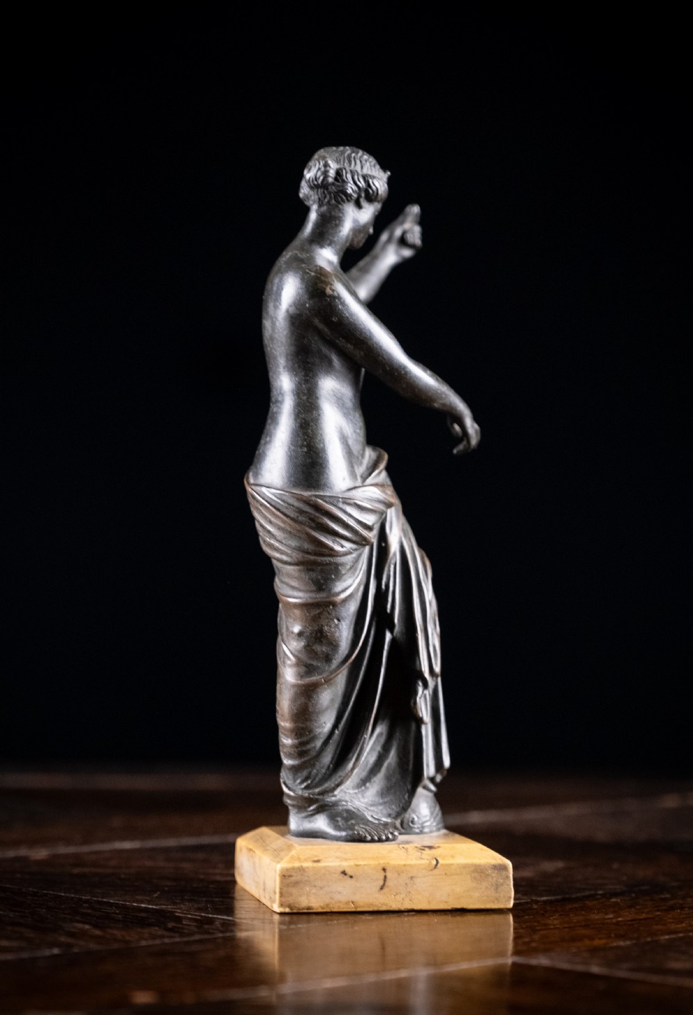 19th Century Bronze Venus of Capua View VII
