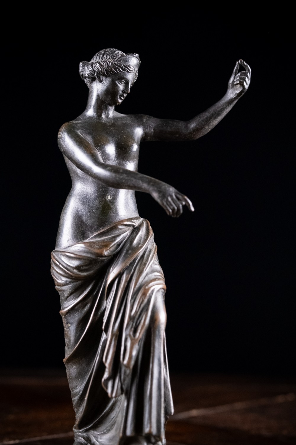 19th Century Bronze Venus of Capua View VIII