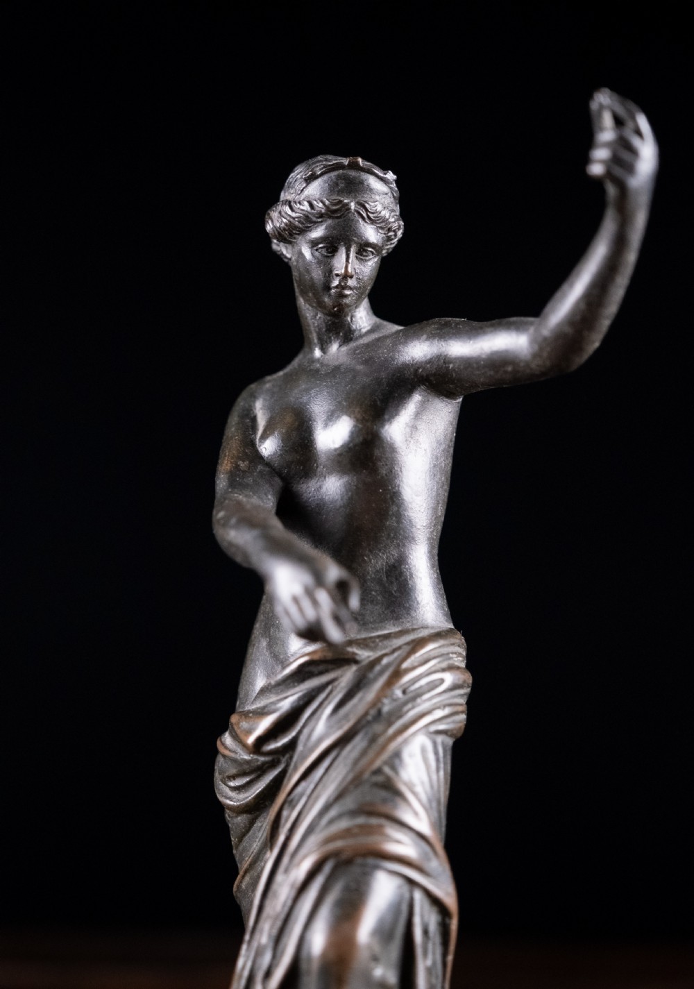 19th Century Bronze Venus of Capua View IX