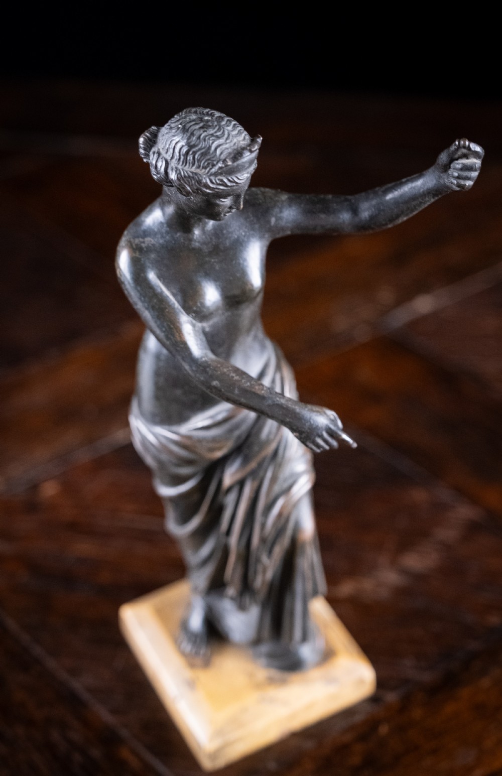 19th Century Bronze Venus of Capua View XII