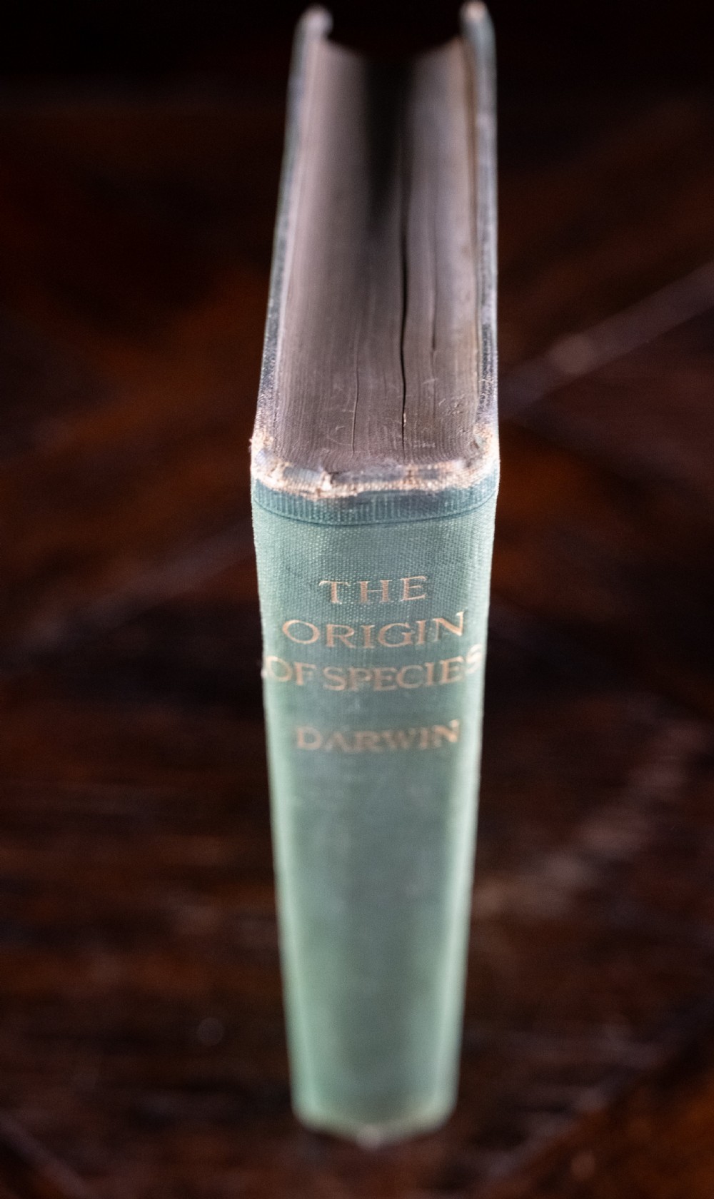 A green cloth-bound antique book standing vertically with gold embossed title lettering on the spine. View V