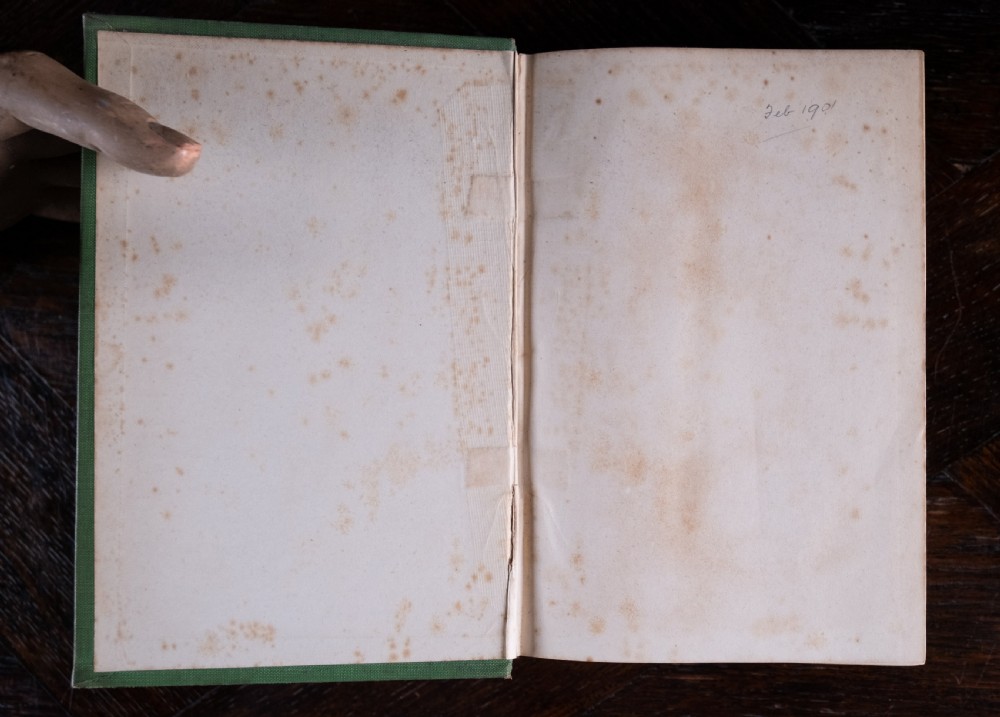 A green cloth-bound antique book standing vertically with gold embossed title lettering on the spine. View VI