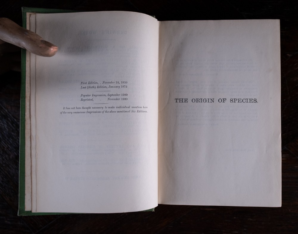 A green cloth-bound antique book standing vertically with gold embossed title lettering on the spine. View VIII
