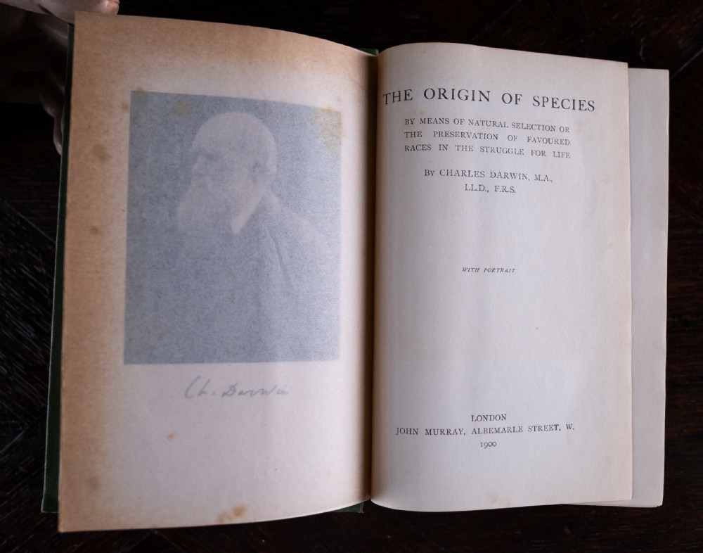 A green cloth-bound antique book standing vertically with gold embossed title lettering on the spine. View XI